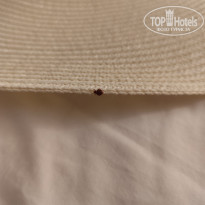 фото из отзыва ID 2678029