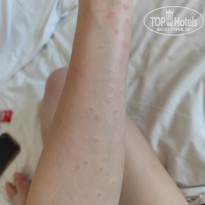 фото из отзыва ID 2678029