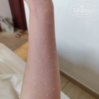 фото из отзыва ID 2678029