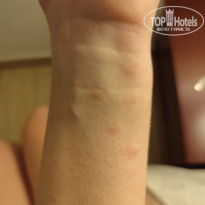 фото из отзыва ID 2678029