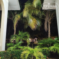 фото из отзыва ID 2677994