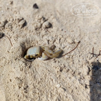 фото из отзыва ID 2677994