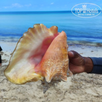 фото из отзыва ID 2677994