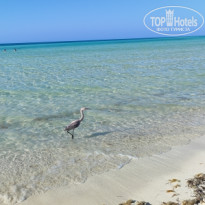 фото из отзыва ID 2677994