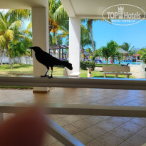 фото из отзыва ID 2677994