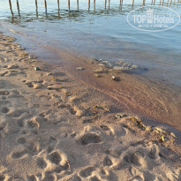 фото из отзыва ID 2678050