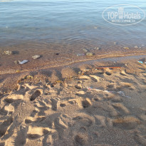 фото из отзыва ID 2678050