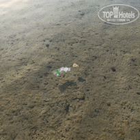 фото из отзыва ID 2678050