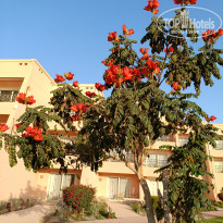 фото из отзыва ID 2678050