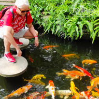 фото из отзыва ID 2677967