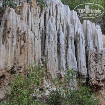 фото из отзыва ID 2677967