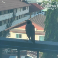 фото из отзыва ID 2678072