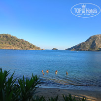 фото из отзыва ID 2678082