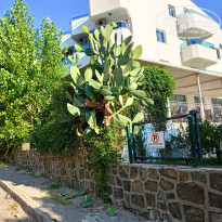 фото из отзыва ID 2678082