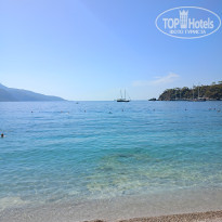 фото из отзыва ID 2678082