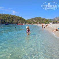 фото из отзыва ID 2678082