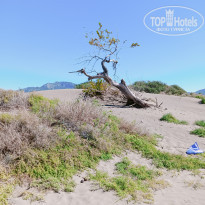 фото из отзыва ID 2678082