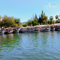 фото из отзыва ID 2678082