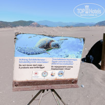 фото из отзыва ID 2678082