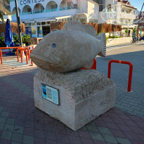 фото из отзыва ID 2678082