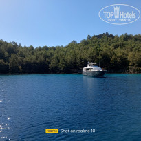 фото из отзыва ID 2678082