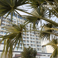 фото из отзыва ID 2678122