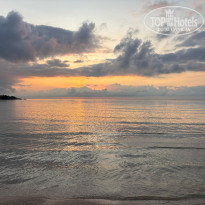 фото из отзыва ID 2678088