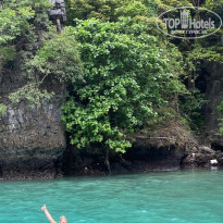 фото из отзыва ID 2678180