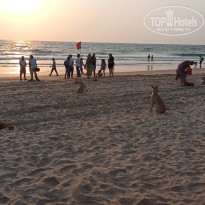 фото из отзыва ID 2678203