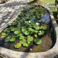 фото из отзыва ID 2678221