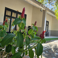 фото из отзыва ID 2678221