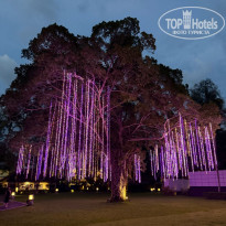 фото из отзыва ID 2678247