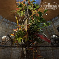 фото из отзыва ID 2678247