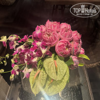 фото из отзыва ID 2678247