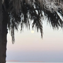 фото из отзыва ID 2678268