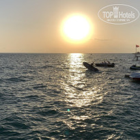 фото из отзыва ID 2678295