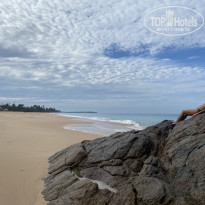 фото из отзыва ID 2678299