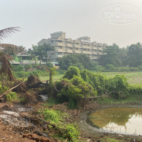 фото из отзыва ID 2678302