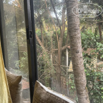 фото из отзыва ID 2678313