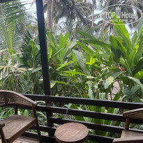 фото из отзыва ID 2678325