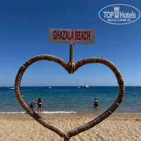 фото из отзыва ID 2678360