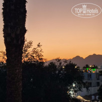 фото из отзыва ID 2678360