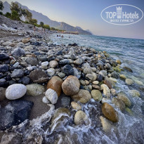 фото из отзыва ID 2678390