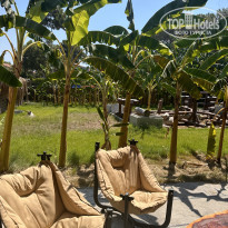 фото из отзыва ID 2678390