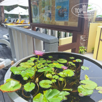 фото из отзыва ID 2678420