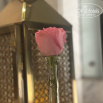 фото из отзыва ID 2678421