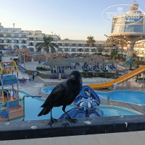 фото из отзыва ID 2678438