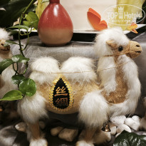 фото из отзыва ID 2678347