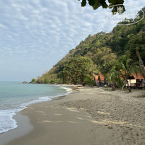 фото из отзыва ID 2678481