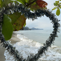 фото из отзыва ID 2678481